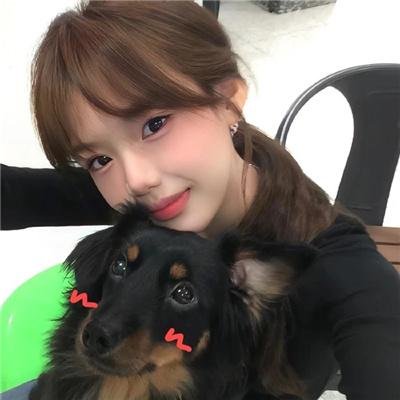 芝加哥警署第五季